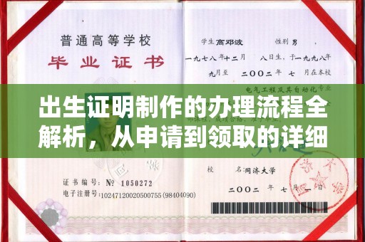 塔什库尔干塔吉克出生证明制作的办理流程全解析，从申请到领取的详细指南