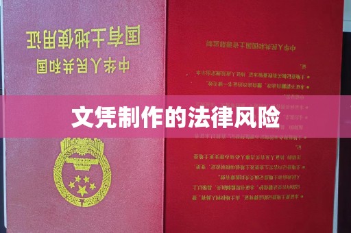 塔什库尔干塔吉克文凭制作的法律风险