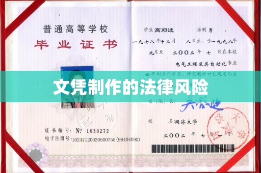 塔什库尔干塔吉克文凭制作的法律风险