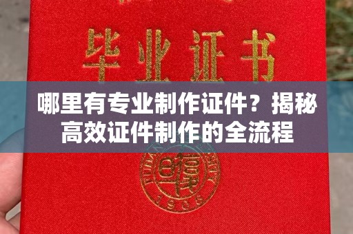 塔什库尔干塔吉克哪里有专业制作证件？揭秘高效证件制作的全流程