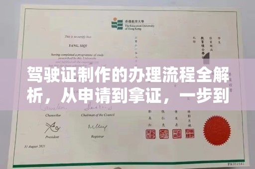塔什库尔干塔吉克驾驶证制作的办理流程全解析，从申请到拿证，一步到位！