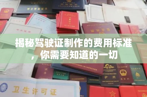 塔什库尔干塔吉克揭秘驾驶证制作的费用标准，你需要知道的一切