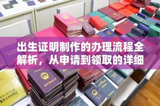 塔什库尔干塔吉克出生证明制作的办理流程全解析，从申请到领取的详细指南