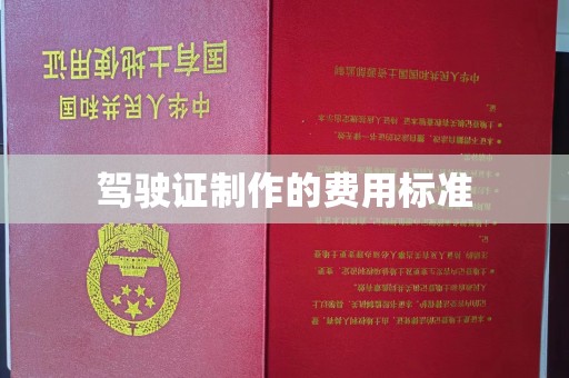 塔什库尔干塔吉克驾驶证制作的费用标准
