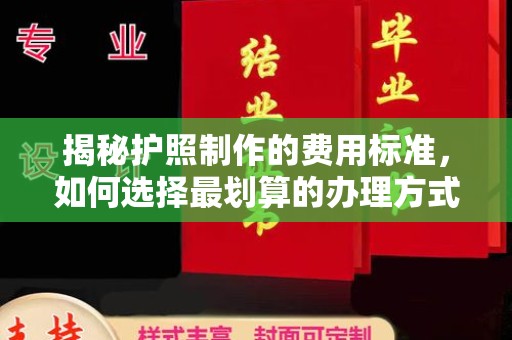 塔什库尔干塔吉克揭秘护照制作的费用标准，如何选择最划算的办理方式？