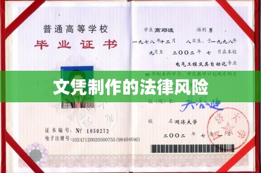 塔什库尔干塔吉克文凭制作的法律风险