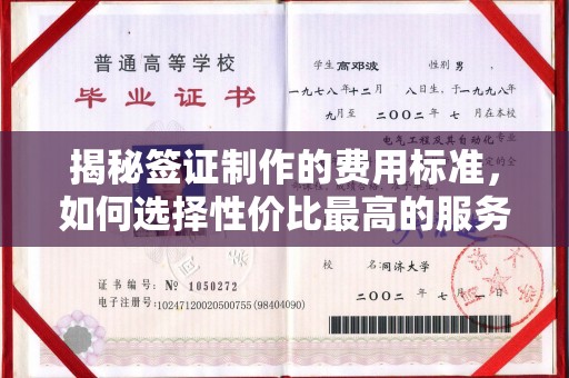 塔什库尔干塔吉克揭秘签证制作的费用标准，如何选择性价比最高的服务？