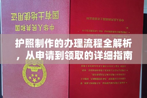 塔什库尔干塔吉克护照制作的办理流程全解析，从申请到领取的详细指南