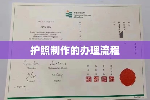 塔什库尔干塔吉克护照制作的办理流程